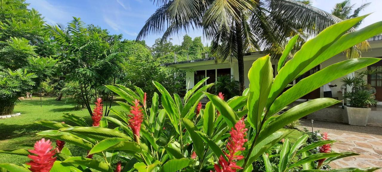 New Holiday Reach Unawatuna Extérieur photo