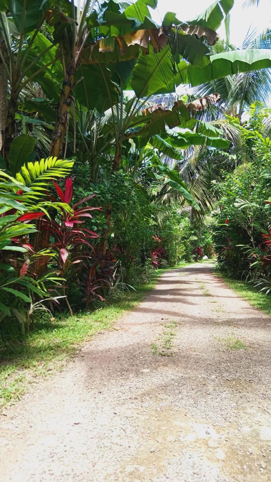 New Holiday Reach Unawatuna Extérieur photo